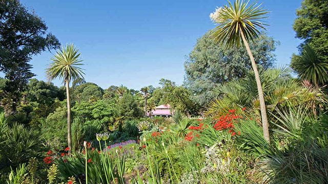 Family days out near Weymouth - Abbotsbury Subtropical Gardens Mediterranean Bank